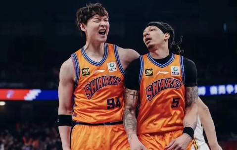 火博娱乐网站 -德国杯今夜走向成谜，广厦男篮豪取连胜，压力陡增，心理建设被强调(广厦男篮对阵山东男篮)